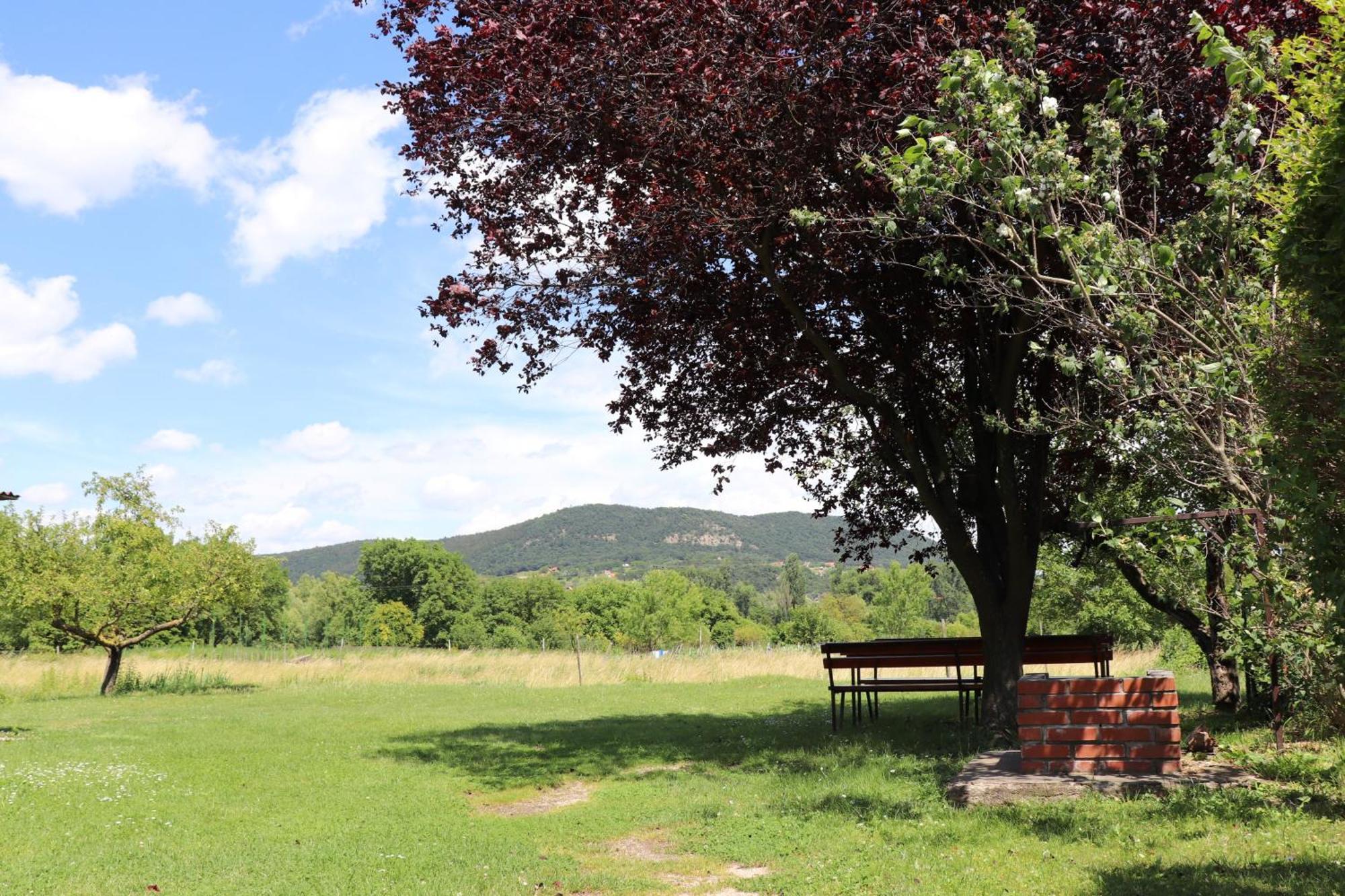 Badacsony Apartmanhaz Badacsonytomaj Bagian luar foto